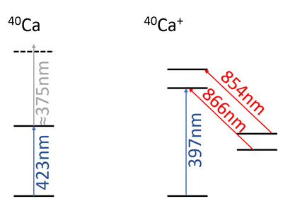 Stabilization of four key experimental wavelengths for 40Ca+ trapping