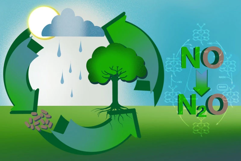 Quantum solutions find application in biochemical research