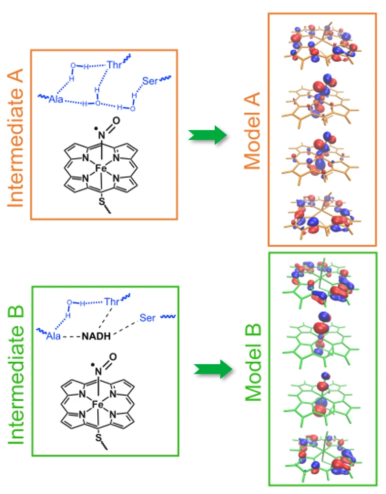 Figure 2: Molecules (Monomeres)